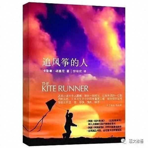 追風(fēng)箏的人感想收獲50字;追風(fēng)箏的人感受40字