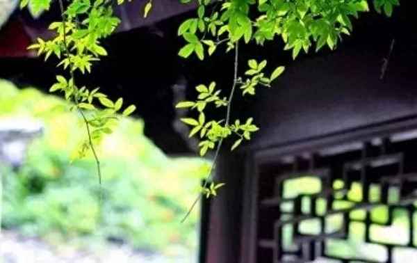 曾子之妻之市的历史背景;曾子之妻之市的全文翻译