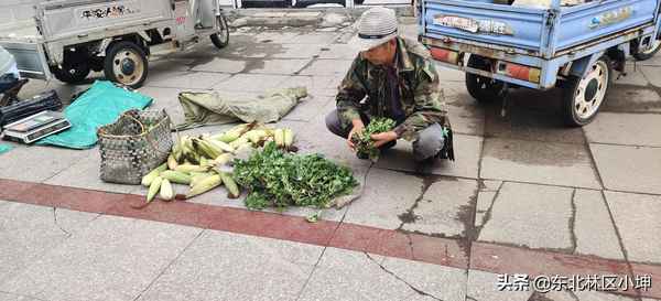 东北早市的商贩如何经营、东北早市为什么那么早