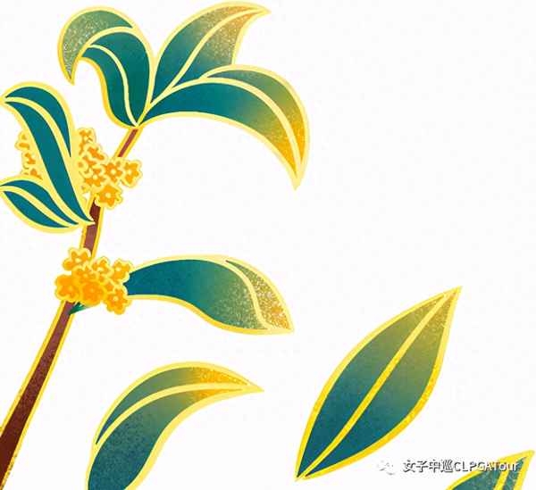 张家港双山管委会领导班子—张家港双山岛管委会领导