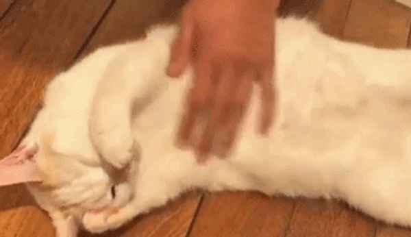 健康之路操—健康之路健身操