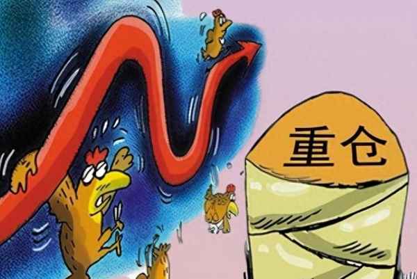 机构重仓和基金重仓的区别,机构重仓和基金重仓的区别在哪