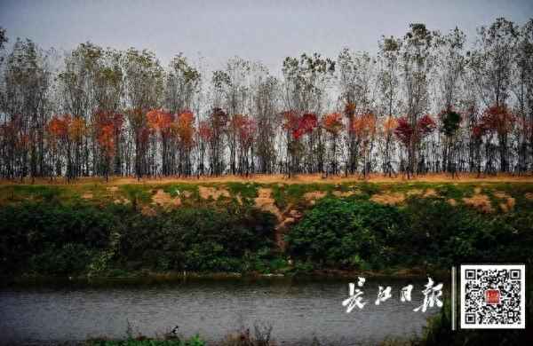 武漢市空氣質量情況,武漢市空氣質量指數查詢