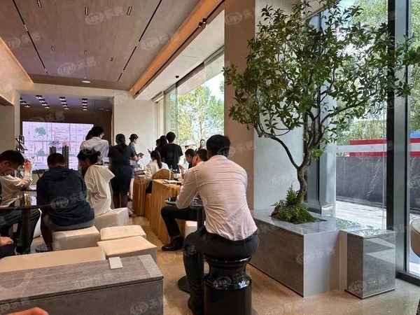 深圳新楼盘房价最新情况;今日深圳房价最新消息