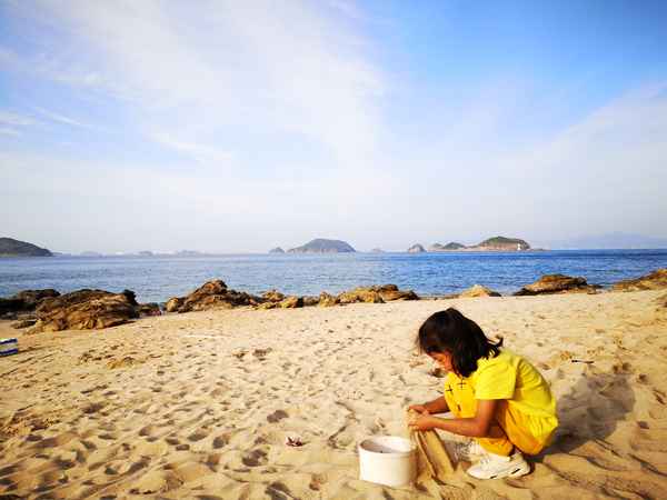 晚上赶海能抓到什么、冬天赶海能抓到什么