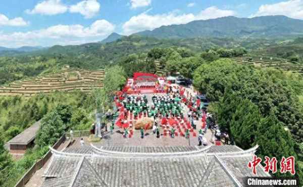 浙江江山茶葉叫什么名字、浙江江山茶葉叫什么名字好聽