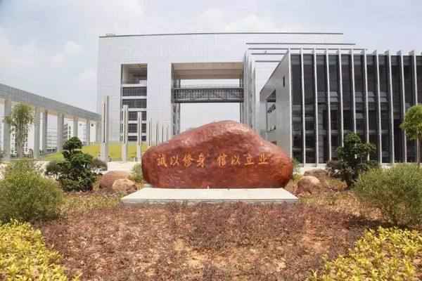 广西财经学院国际会计(广西财经学院国际会计专业法国)
