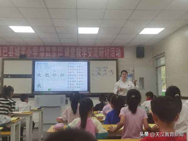 教師調動工作現實表現-教師調動申請現實表現怎么填