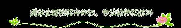 什么花代表平安健康,花語寓意健康的花