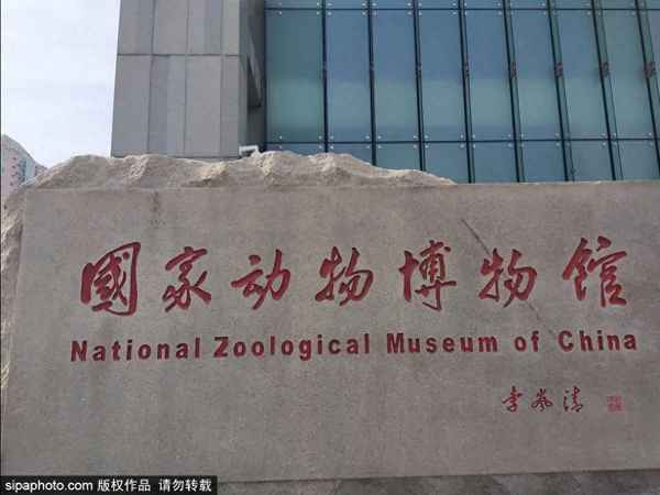北京自然博物館都有什么;北京自然博物館都有什么玩的