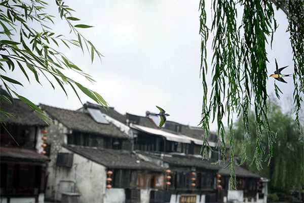 西塘古鎮(zhèn)需要門(mén)票嗎現(xiàn)在,西塘古鎮(zhèn)需要門(mén)票嗎現(xiàn)在免費(fèi)嗎