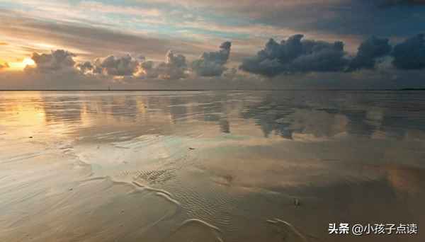 古诗马诗23首其二、马诗其二十三首