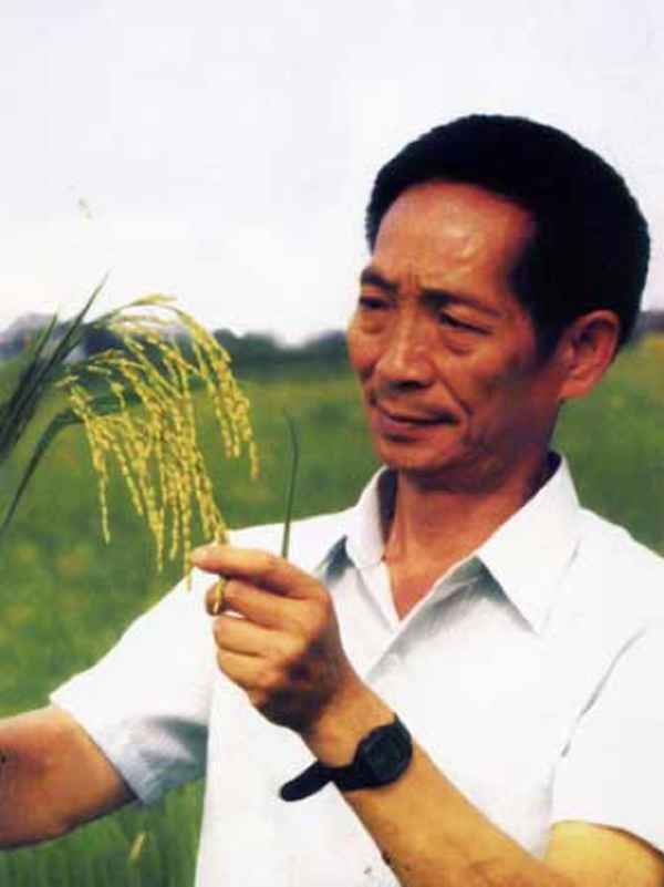 袁隆平获得的荣誉_袁隆平获得的荣誉和奖项