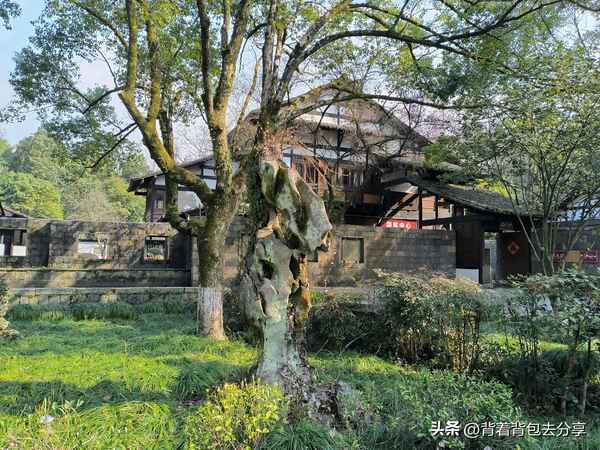 瑤琳仙境景點介紹-瑤琳仙境景點介紹100字左右