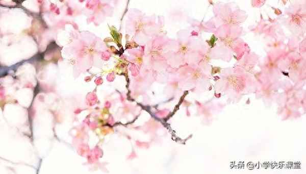 含有顏色的四字成語—含有顏色的四字成語如姹紫嫣紅