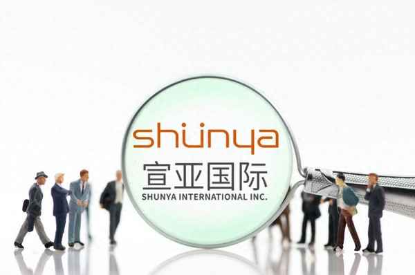 宣亚国际公司简介;宣亚国际董事长