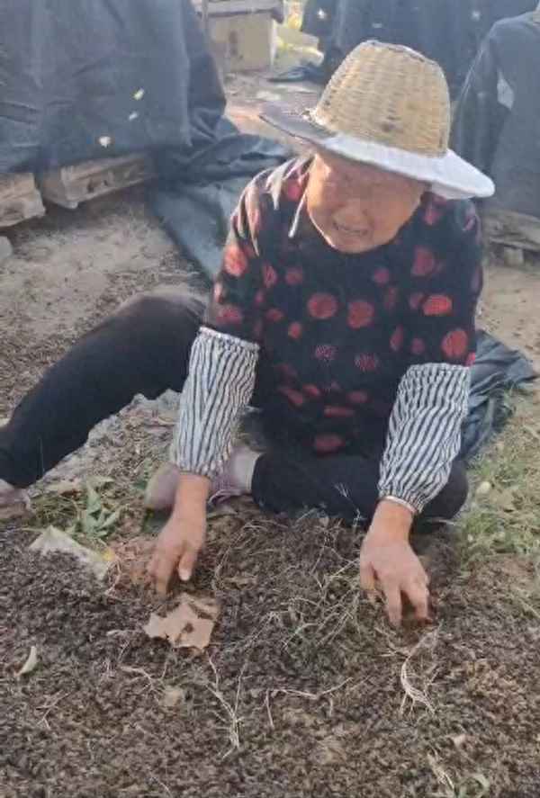 蜂箱投毒案的侦破过程—蜂箱内视频