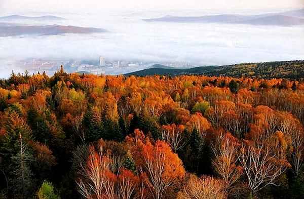 10月旅游景點(diǎn)推薦國內(nèi)(10月最適合旅游的城市)