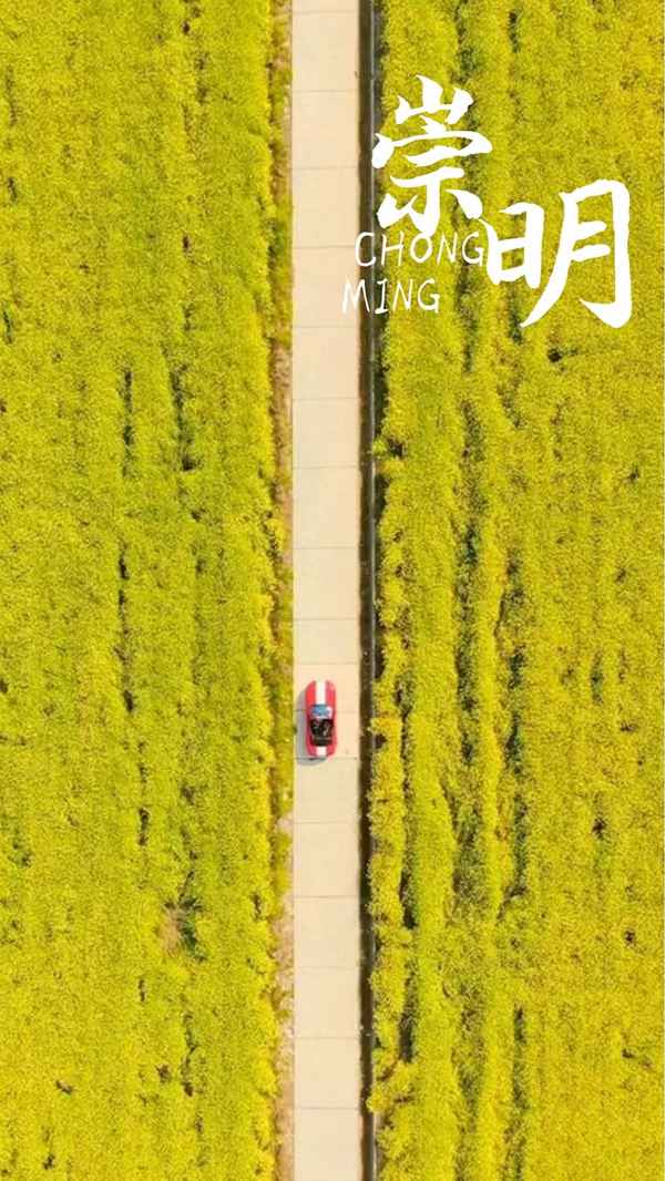 崇明東灘和西沙哪個好玩(崇明東灘和西灘哪個好)