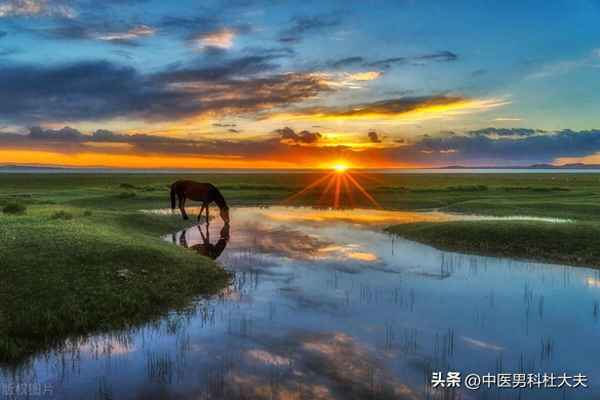 男性一般会有什么隐疾_男人隐疾是什么病