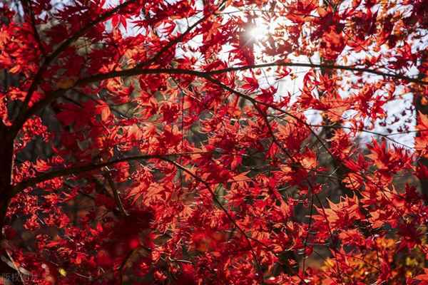 炒股如何提高自己的技术_怎么提高自己的炒股水平
