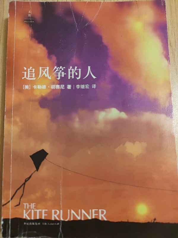 追風箏的人讀后感800—追風箏的人讀后感800字大學生