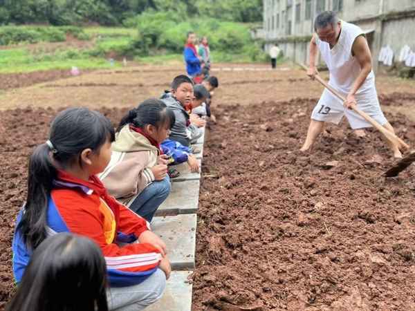 小學社會實踐感受勞動、小學生參加社會實踐活動的意義