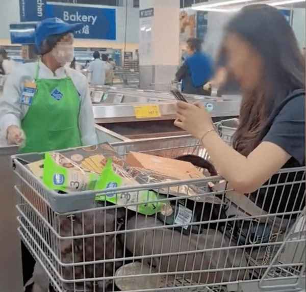 中国时事焦点新闻、中国时事焦点新闻社是不是官媒