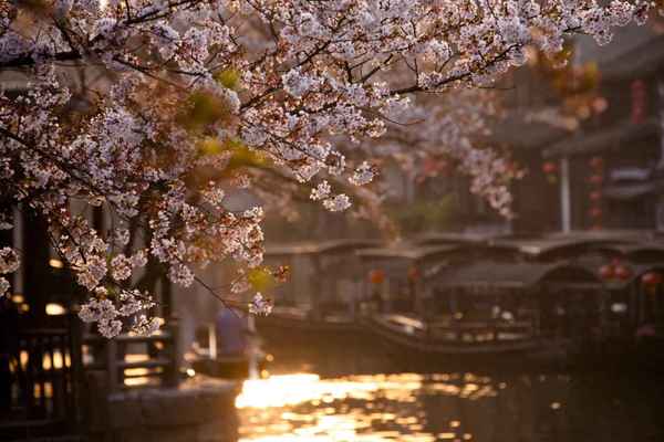 西塘景區(qū)開(kāi)放地點(diǎn),西塘景區(qū)景點(diǎn)