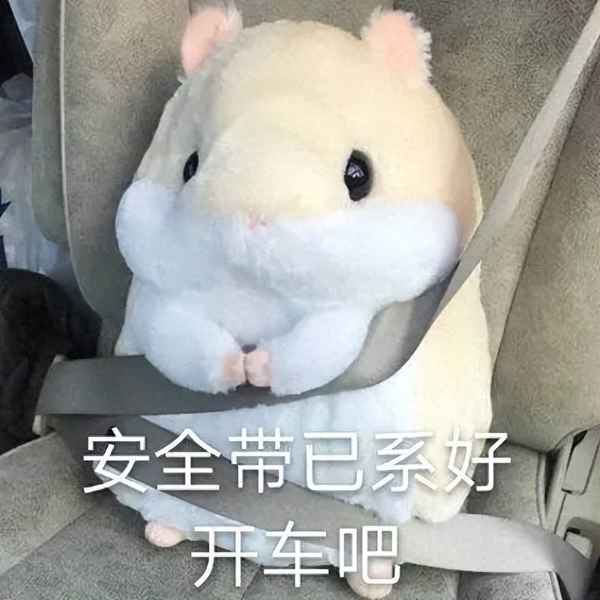 新交規后排可以抱小孩—規定多大孩子必須坐安全座椅