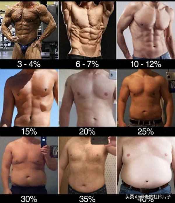 脂肪测量仪的数值怎么看、给你一个脂肪测量仪,如何确定fat