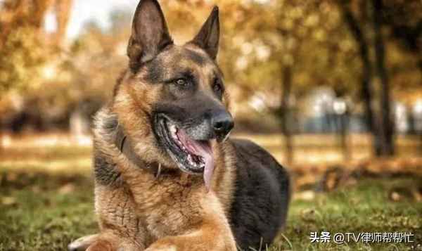 入室盗窃案受害人什么时候得到赔偿,入室盗窃多长时间结案