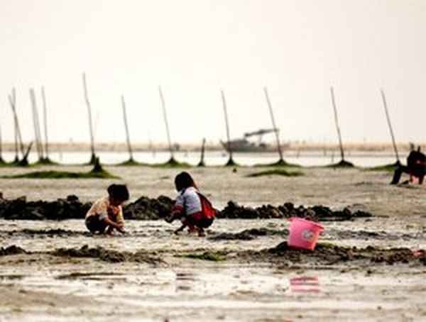 最新天气预报下载安装—最新最准天气预报免费下载