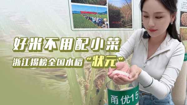 最好吃的水稻品種排行榜,國家一級香稻品種