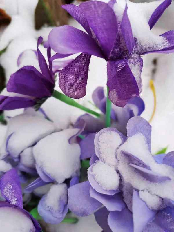 雪唐罗隐古诗讲解、古诗雪唐罗隐怎么读