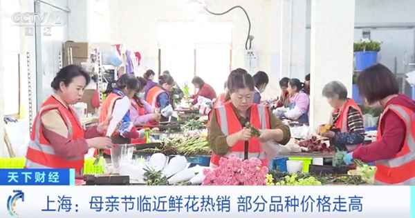 金玫瑰财经(金玫瑰平台诈骗)