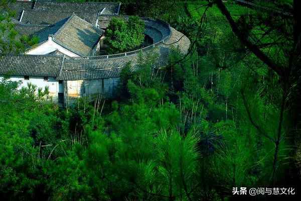 鸟宿池边树下一句是什么,鸟宿池边树下一句是什么古诗