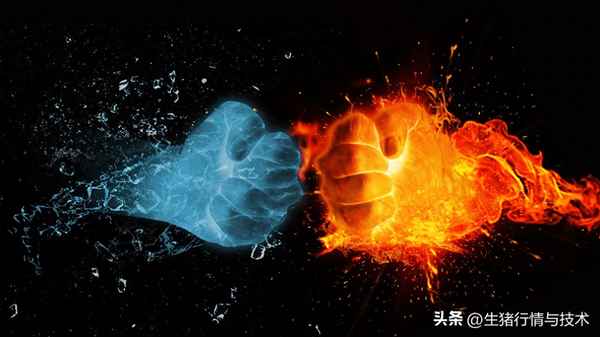豆粕价格行情今日报价2023,最新豆粕多少钱一吨