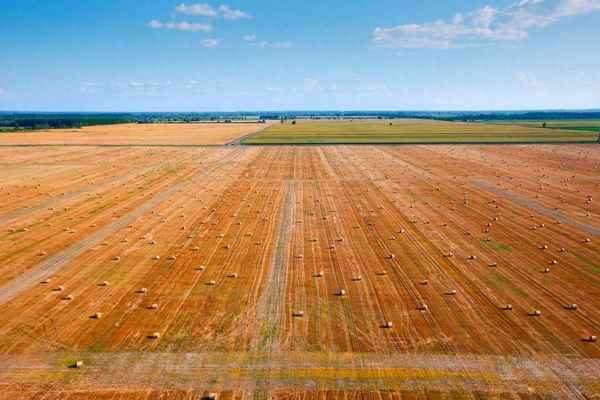 粮食紧缺买什么股票、中粮和北大荒谁厉害