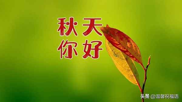 十開頭的吉祥成語有哪些—十開頭的吉祥成語有哪些詞語