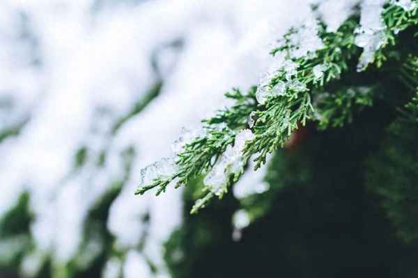 仙境般的雪景唯美句子-描寫雪景的文案