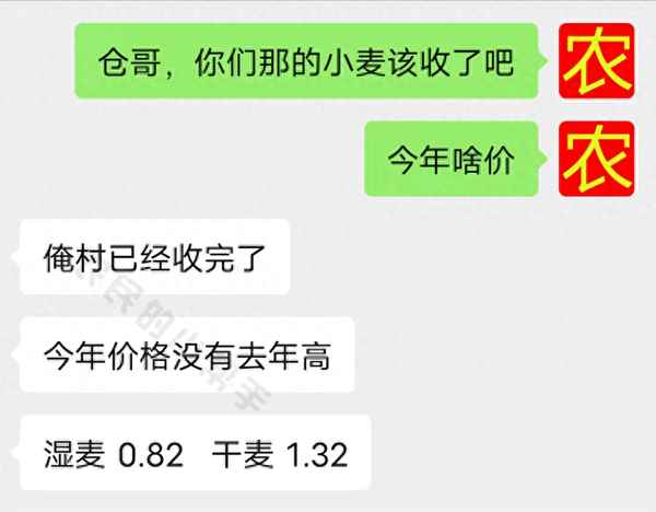 今天小麥收購價格表;今天小麥多少錢一斤
