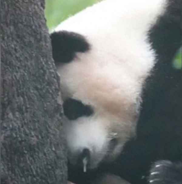 明星能随便出门吗-明星一年能赚一个亿吗