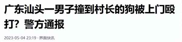 农村狗被车撞了怎么办、农村狗狗被车撞了怎么办