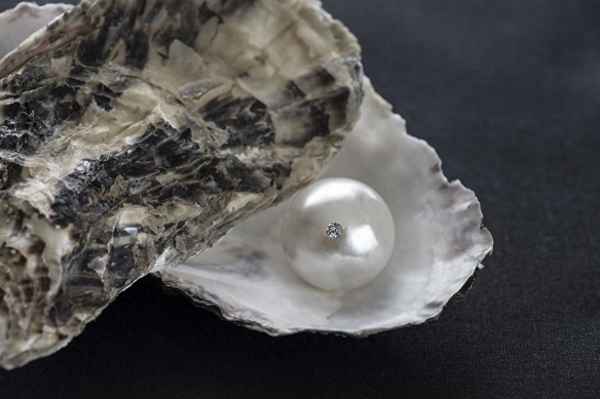 蓝田日暖玉生烟,沧海月明珠有泪(蓝田日暖玉生烟,沧海月明珠有泪翻译)