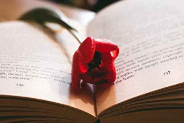 怎么取证没有赡养老人、不赡养老人证据