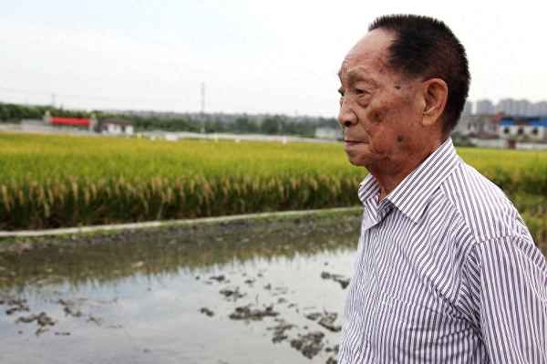 偉大的人作文袁隆平;偉大的人作文袁隆平怎么寫