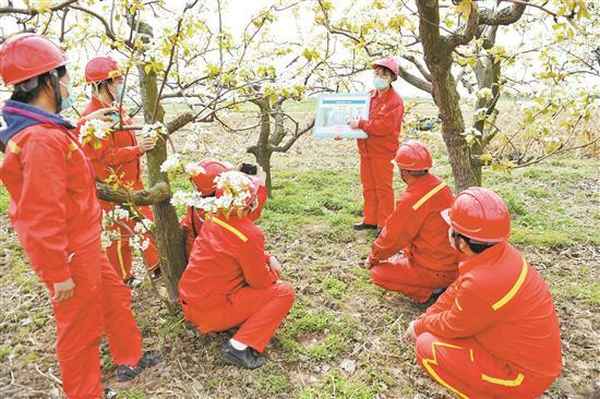 石油教育;石油教育與人才研究所
