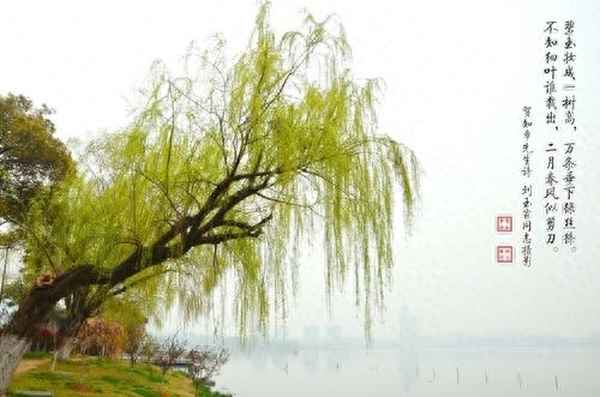 查慎行字夏重chong还是zhong—查慎行还写过什么诗