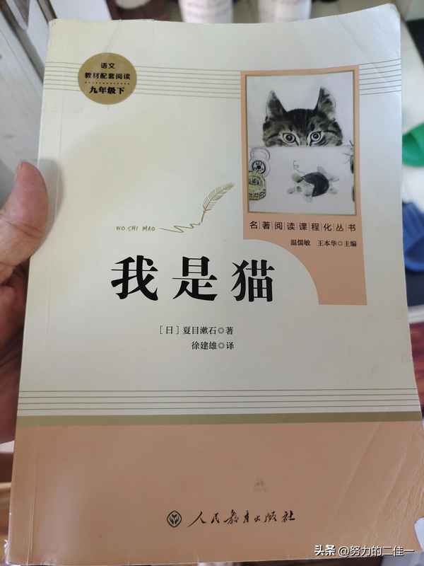 讀我是貓有感600字;讀我是貓有感600字作文